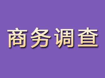 伍家岗商务调查